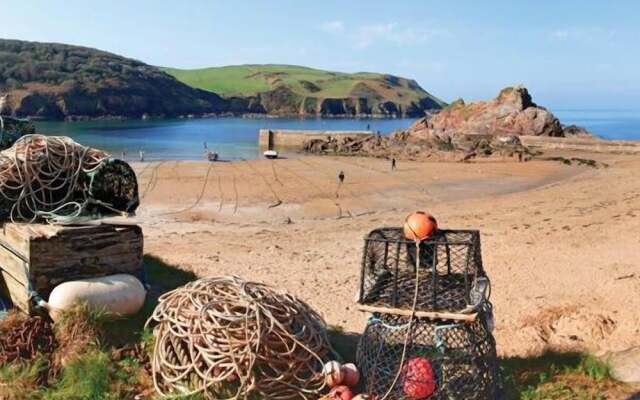 Cove View