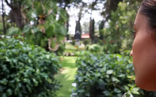 Utopía Hotel Boutique