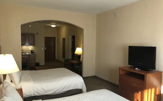Holiday Inn Express & Suites Lansing-Dimondale