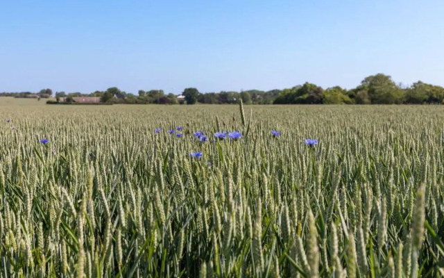 "Tishon" - 3.5km from the sea in Bornholm