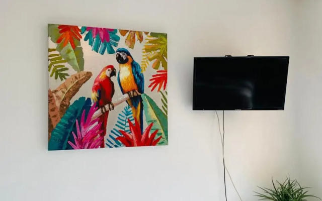 Studio Evasion Plage Avec Jardin