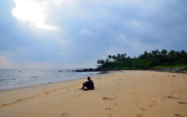 Ocean Green Kerala