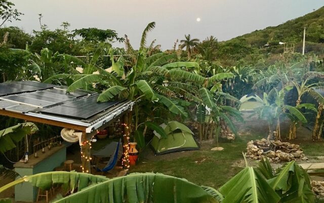 Camp Utila Village - Hostel