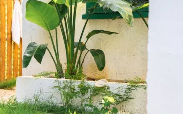 Weizhou Island Summer Haiqing Homestay