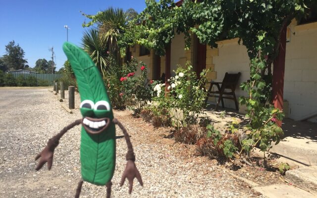 Inglewood Motel and Caravan Park