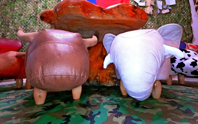 Sleeping Bag Boar Backpacker