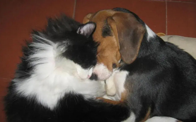 La Bottega Del Fabbro Affitto Breve