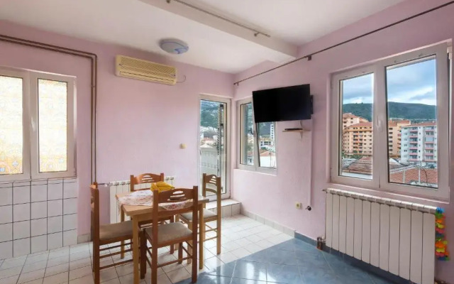 Apartments Antic