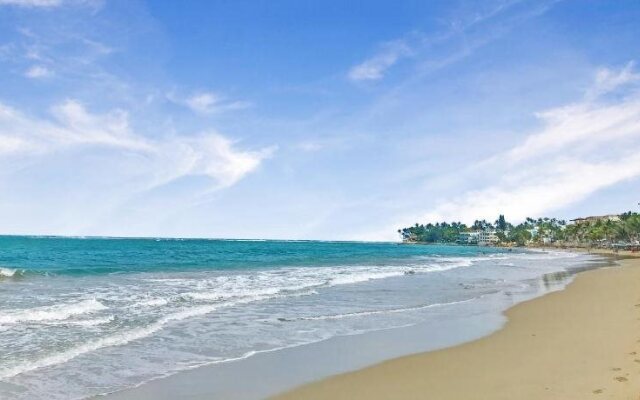 Areca