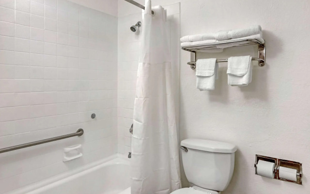 Quality Inn & Suites Ruther Glen