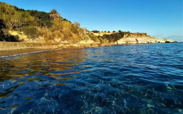 Apartments With Garden View No12