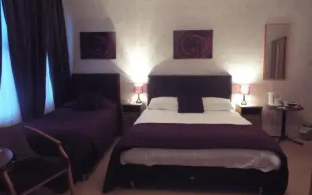 Stepping Stones (Adults Only)