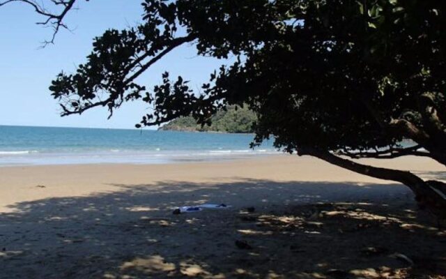 Daintree Crocodylus