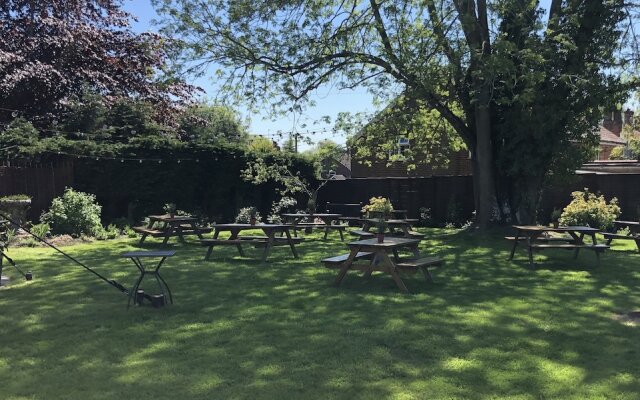 The Honingham Buck
