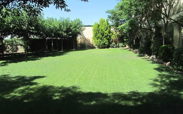 Lo Raco de l’Olivera