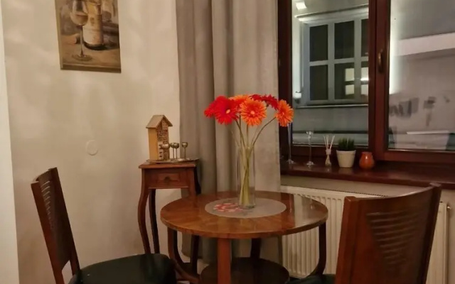Apartment in city center