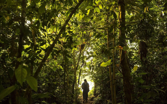 Tambopata Research Center