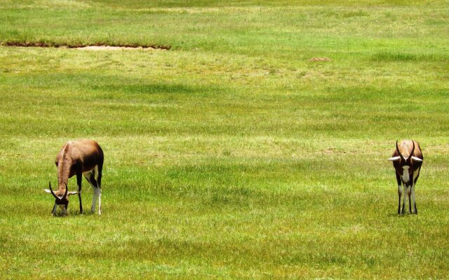 Legend Golf & Safari Resort