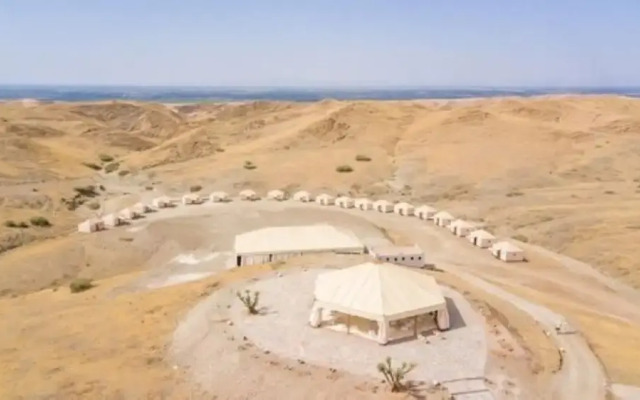 The white Camel