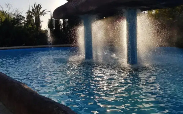 "Vero Vijola" in Torrevieja