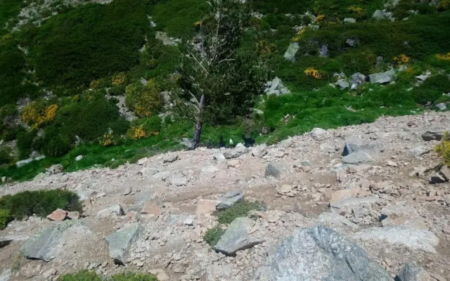 Apartamento navacerrada