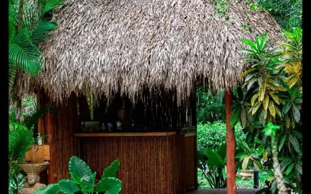 Villas Pura Vibra