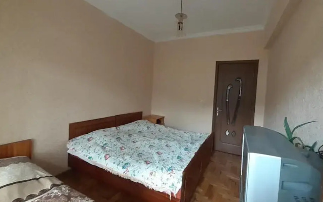 Borjomi,Rustaveli Street 107, 7 Floor