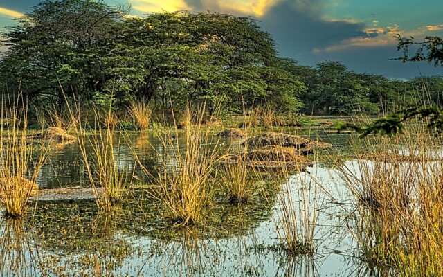 The Ashoka farms and Resort