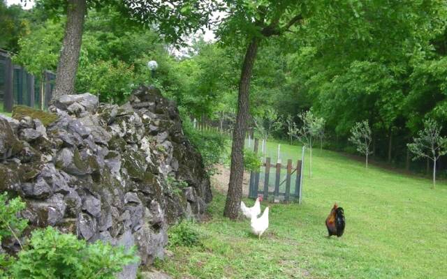 Bed & Breakfast Nature