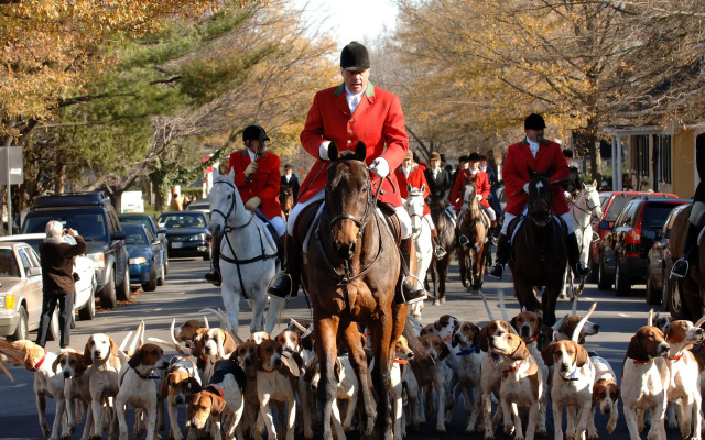 Salamander Resort And Spa