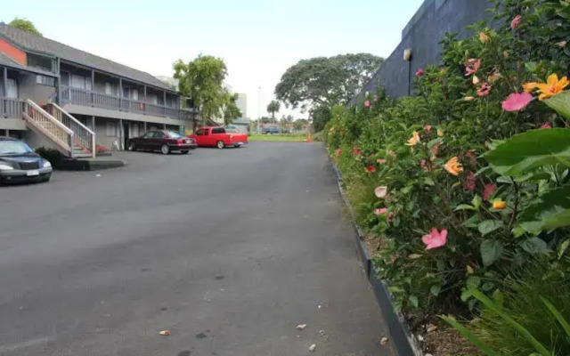Newmarket International Motor Inn