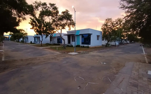 Anora Avarta