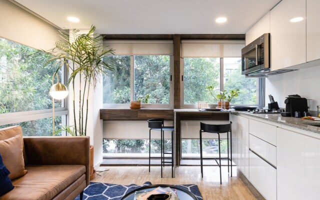 Amazing New Studio Next To Condesa!