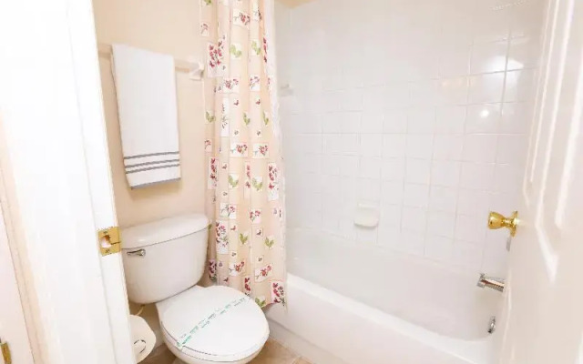 Disney Area Executive Plus Homes