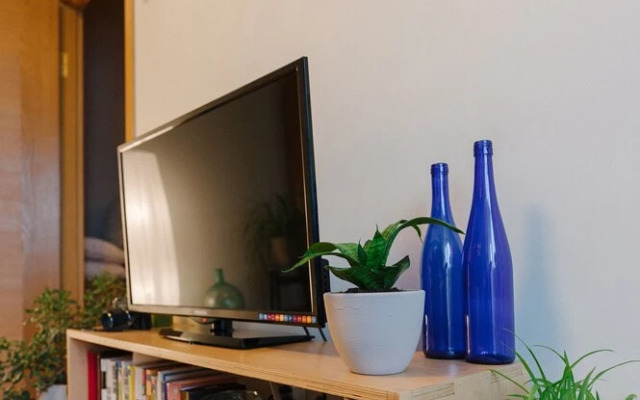 MalinaApt Botanical apartment