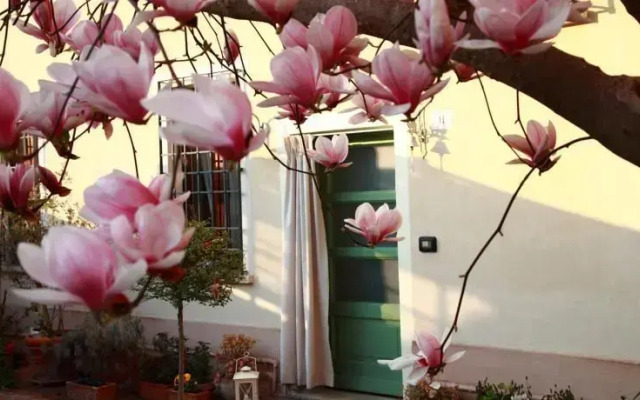 B&B La Magnolia