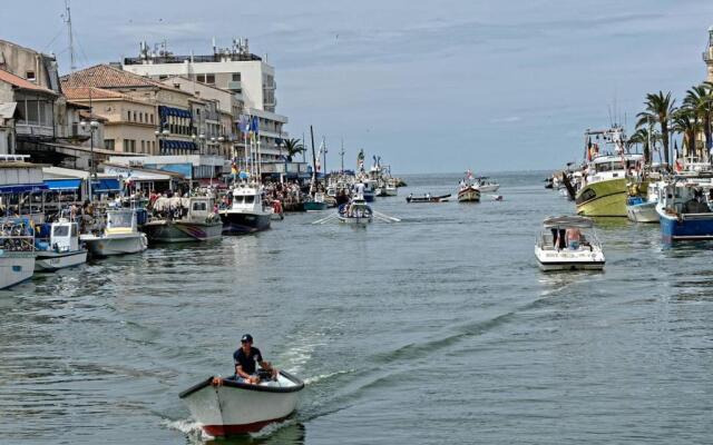 Appartement Le Grau-du-Roi, 2 pièces, 4 personnes - FR-1-307-187