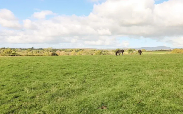 Saddlers Cottage, Berllandeg Farm