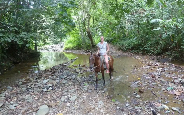 Finca El Regalo