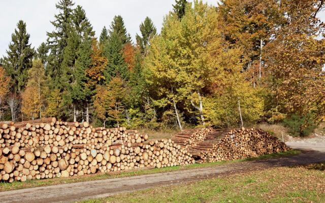 Malerische Erdgeschosswohnung