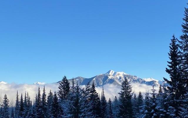 Lush Mountain Accommodations