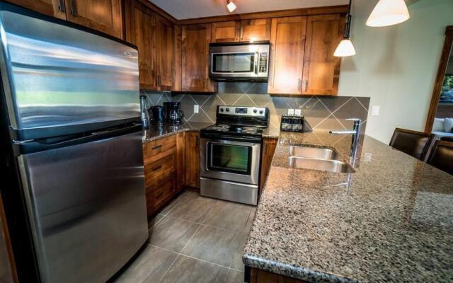 Spacious 3BR 2BA Penthouse with Mountain Views