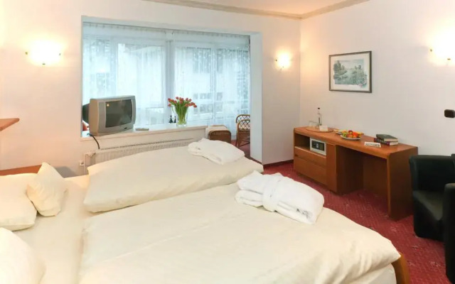 Kur- und Gesundheitshotel Zum Goldenen Hirsch