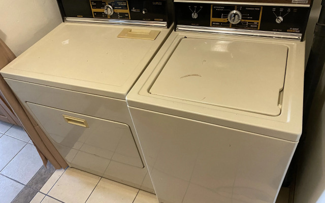 WHOLE Family - Barrette - Hostel