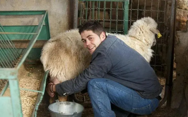 Tambor del Llano