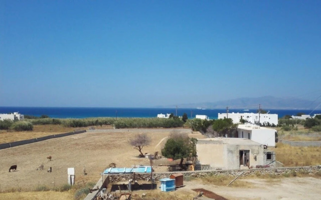 Naxos Harmony