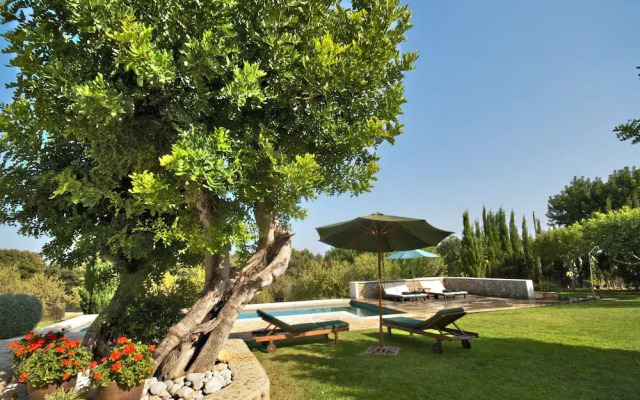 Finca Alzina