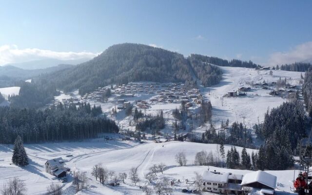 Alpendorf Dachstein West