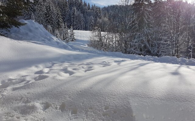 Raiches 2 - ARAVIS Holidays