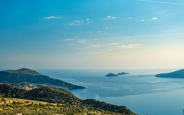 Villa Biba 2 by Lycia Collections